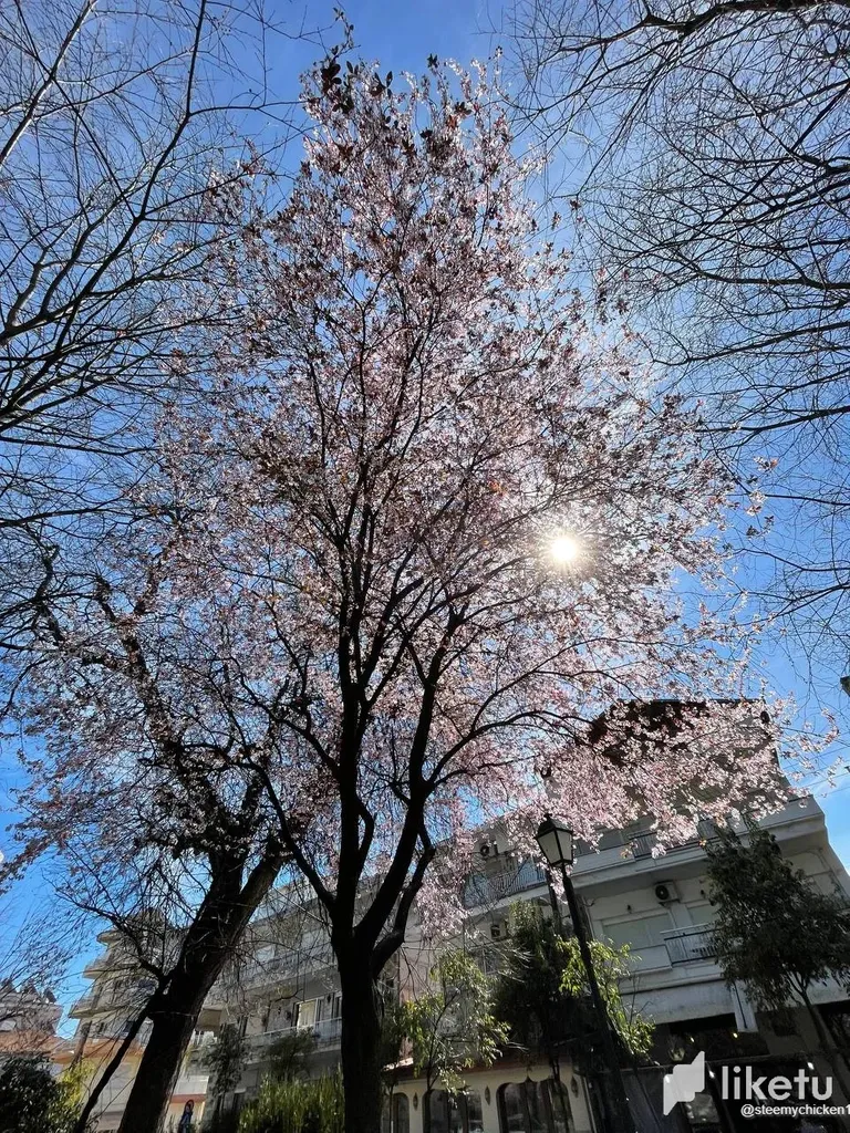 clfkv1xip00ss9iszbnqka8lx_photo_9_2023-03-22_22-45-50.webp