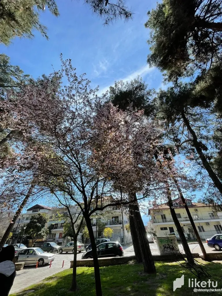 clfkv230x00wm6tsz733xgbvz_photo_3_2023-03-22_22-45-50.webp