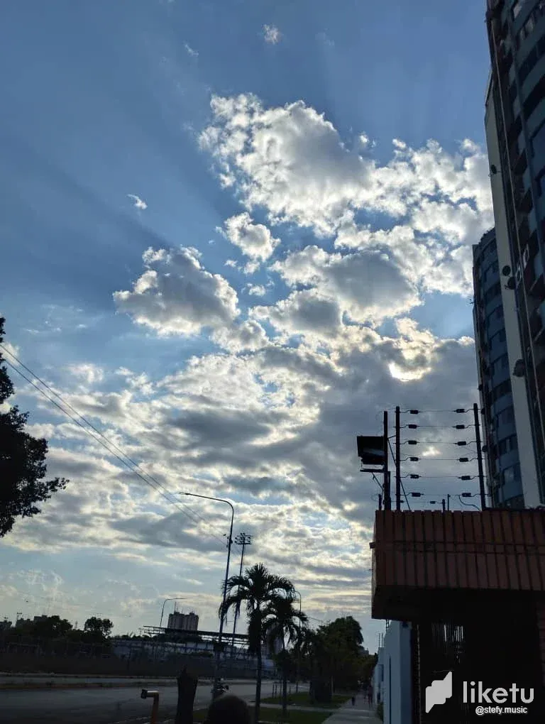 clh77lm1f00472tszhzv0ano8_WhatsApp_Image_2023-05-03_at_12.07.37_AM_1.webp