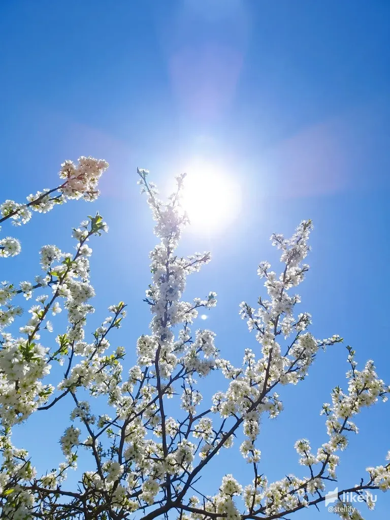cl9d2g4nd02p30hkces4h4cuk_2022-04-09-20-15-51-808.webp