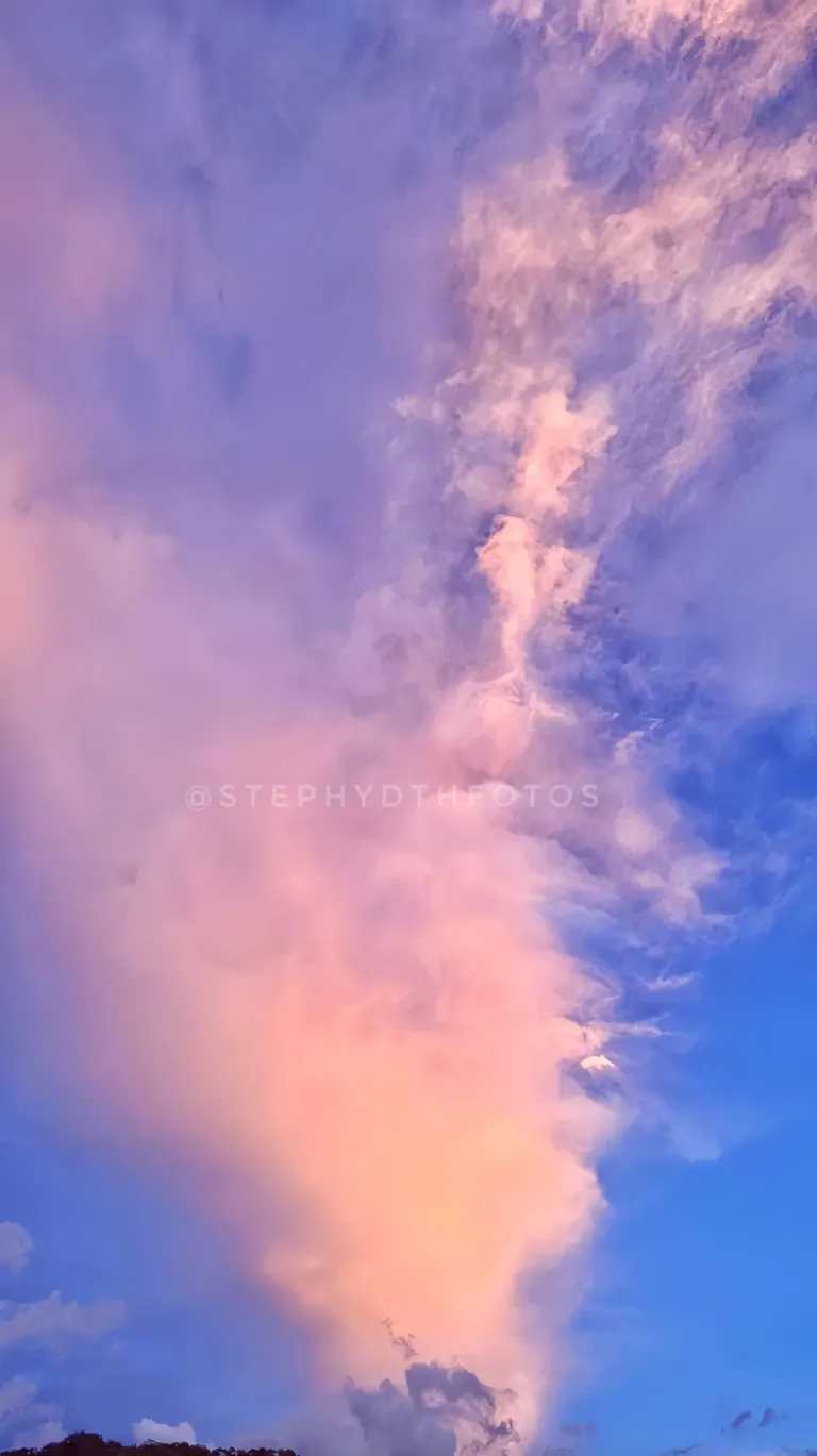 KiMSyPcvhaMtmDKJ_1000247734.webp