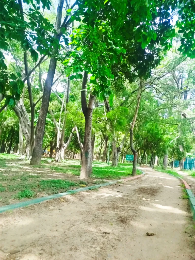 6gFQbVns6J5c0TDu_1000604277.webp
