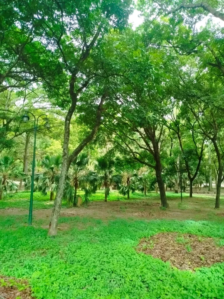 AjRyvFm5S4CSePJk_1000618610.webp