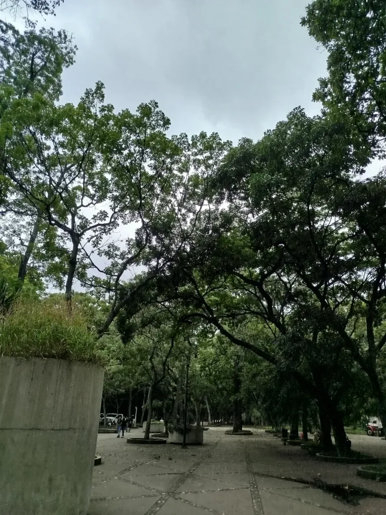 MPGS2d2j88IyJjLU_1000703706.webp