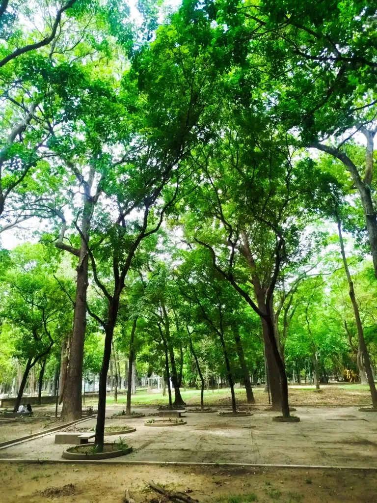 MTLMUVNf0DPgdcu2_1000578937.webp