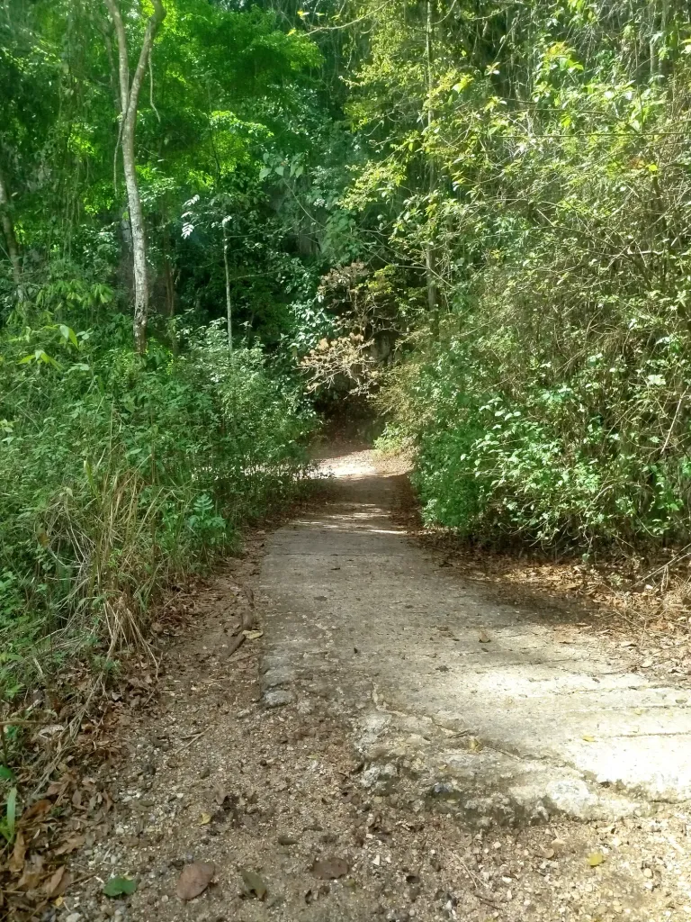PSM7Qqa0Y6uBNViT_1000573660.webp