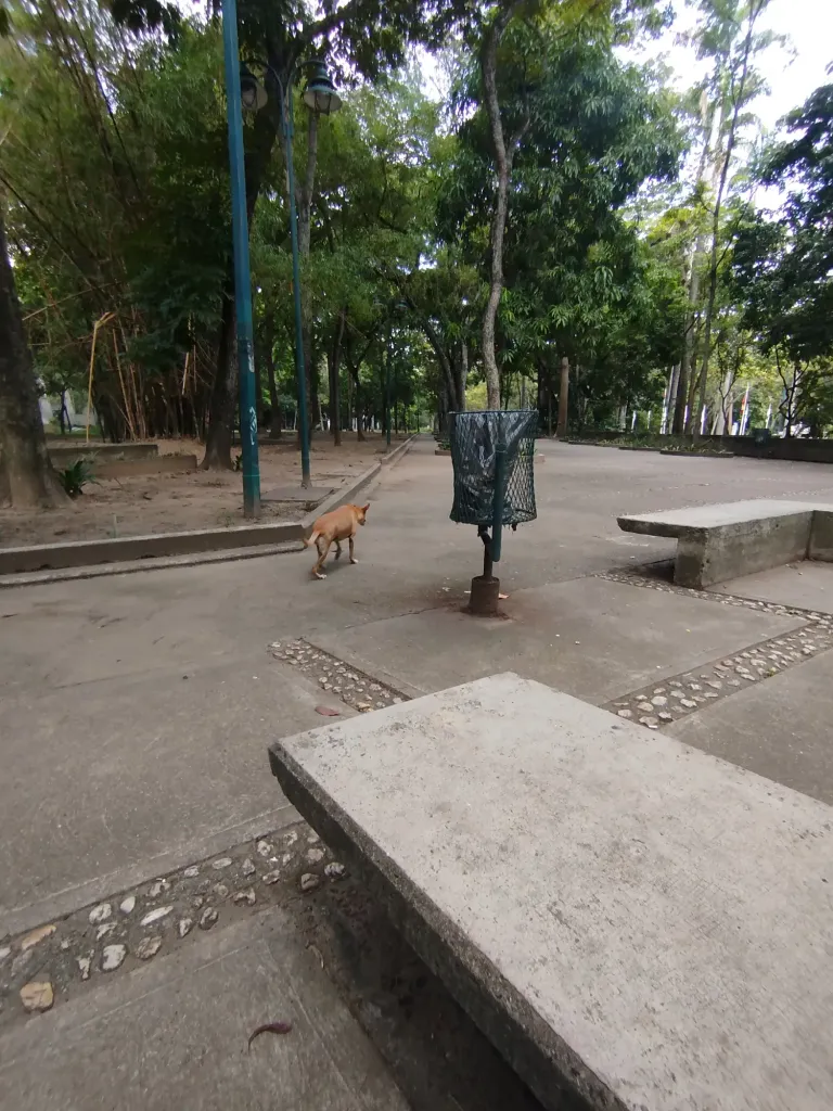 YSRmmqDKds8MqJmf_1000611672.webp