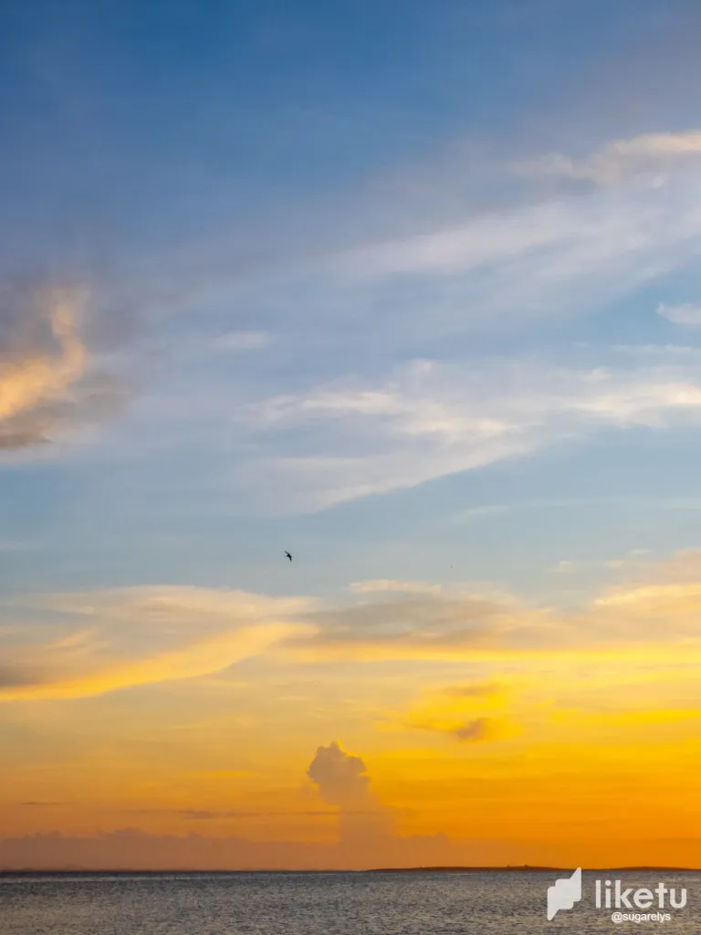 01KvK3T43A2a45NT_paisaje_lindo-14.webp