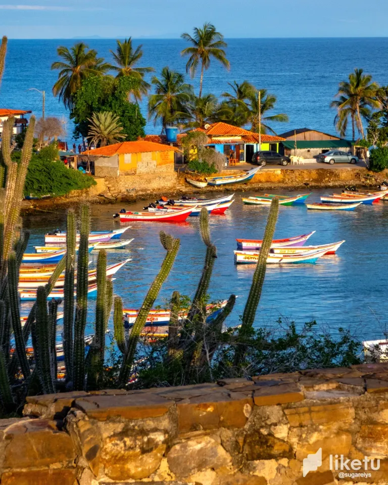 4e6ggZOJNQcIRIci_pampatar_-_la_caranta-35.webp