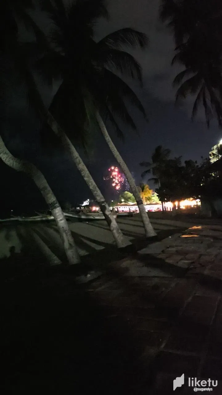 6L9CNQc3a0bk99G7_photo_2025-01-01_21-48-10.webp