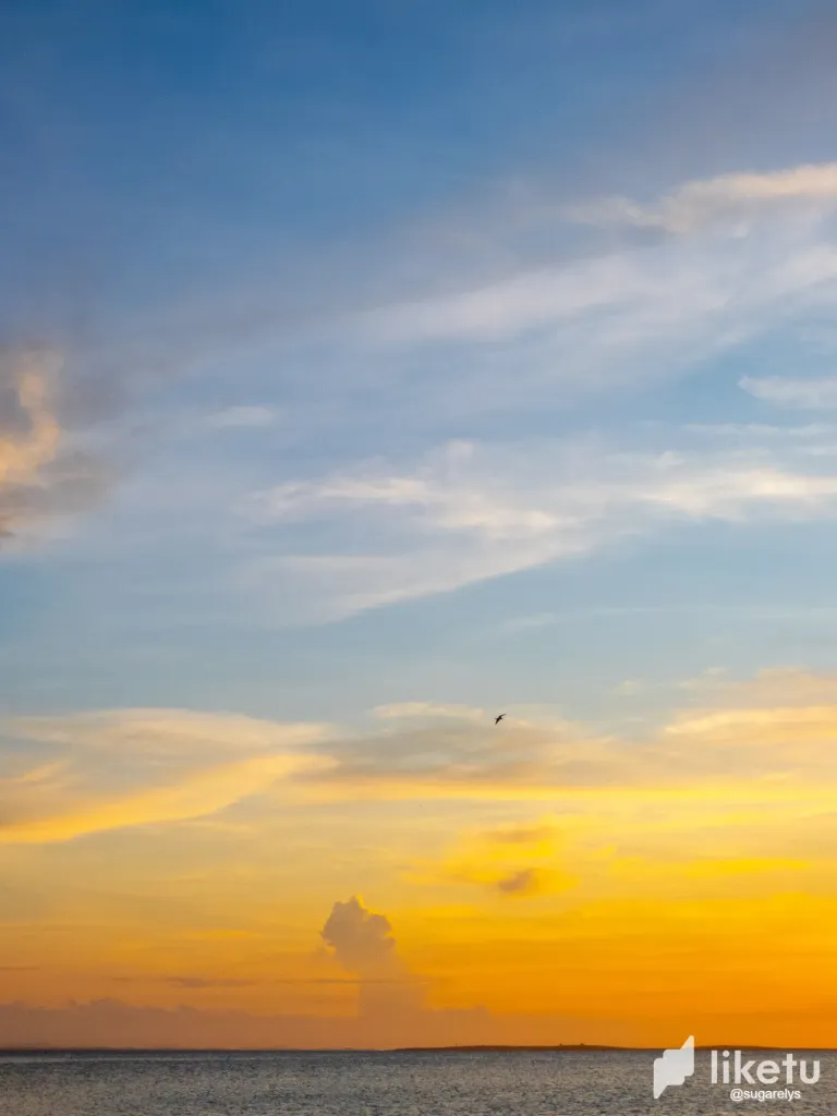 CLCMShgCBcDG1ALi_paisaje_lindo-9.webp
