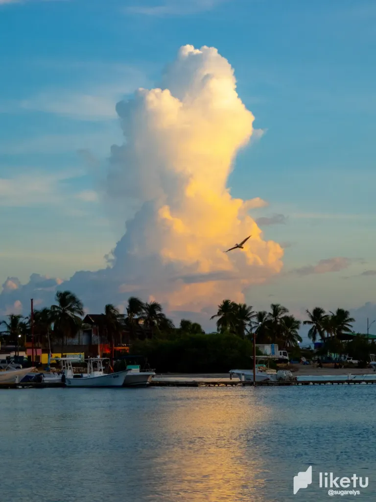 D04hDEFoilDwBdZX_paisaje_lindo-5.webp
