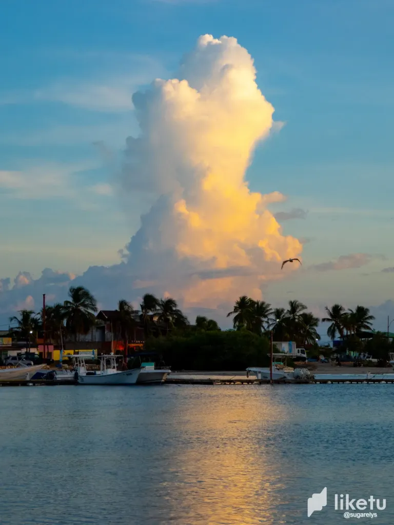 FoATZmp5XbqpeK8w_paisaje_lindo-4.webp