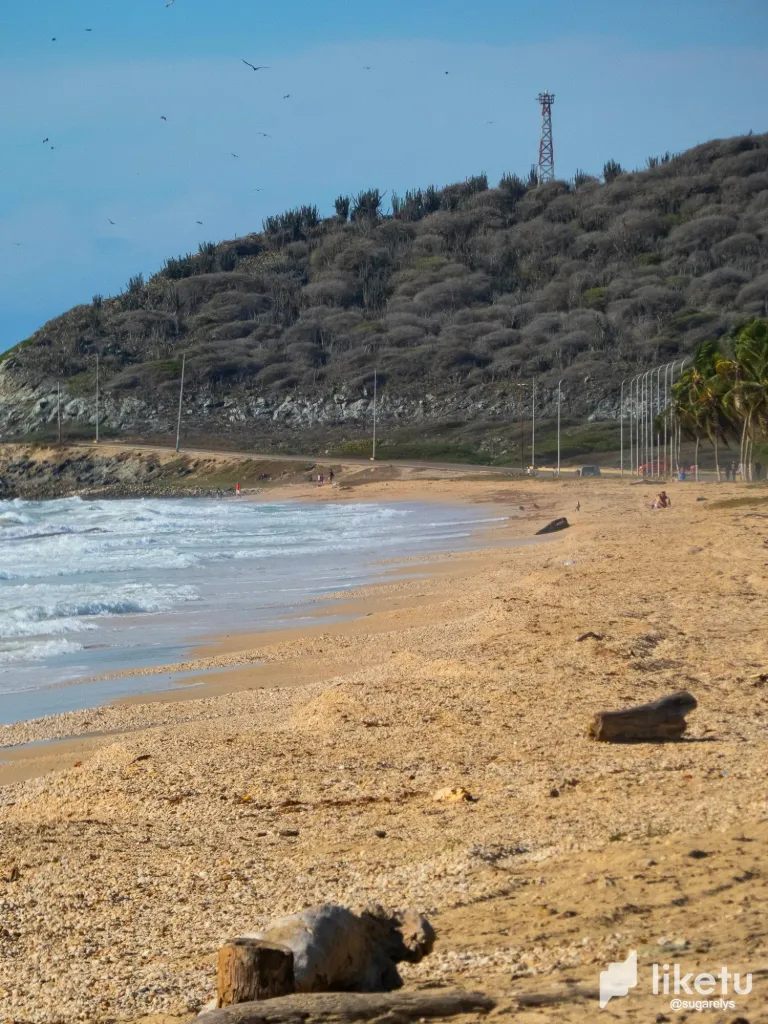 QRPTTrFcMDcYjIYe_ABAMS_DIA_DE_LAS_MADRES-272.webp
