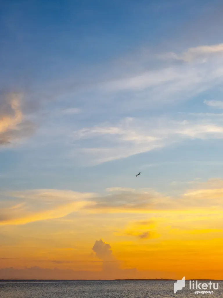 VbUO9KfzMTx38d7N_paisaje_lindo-12.webp