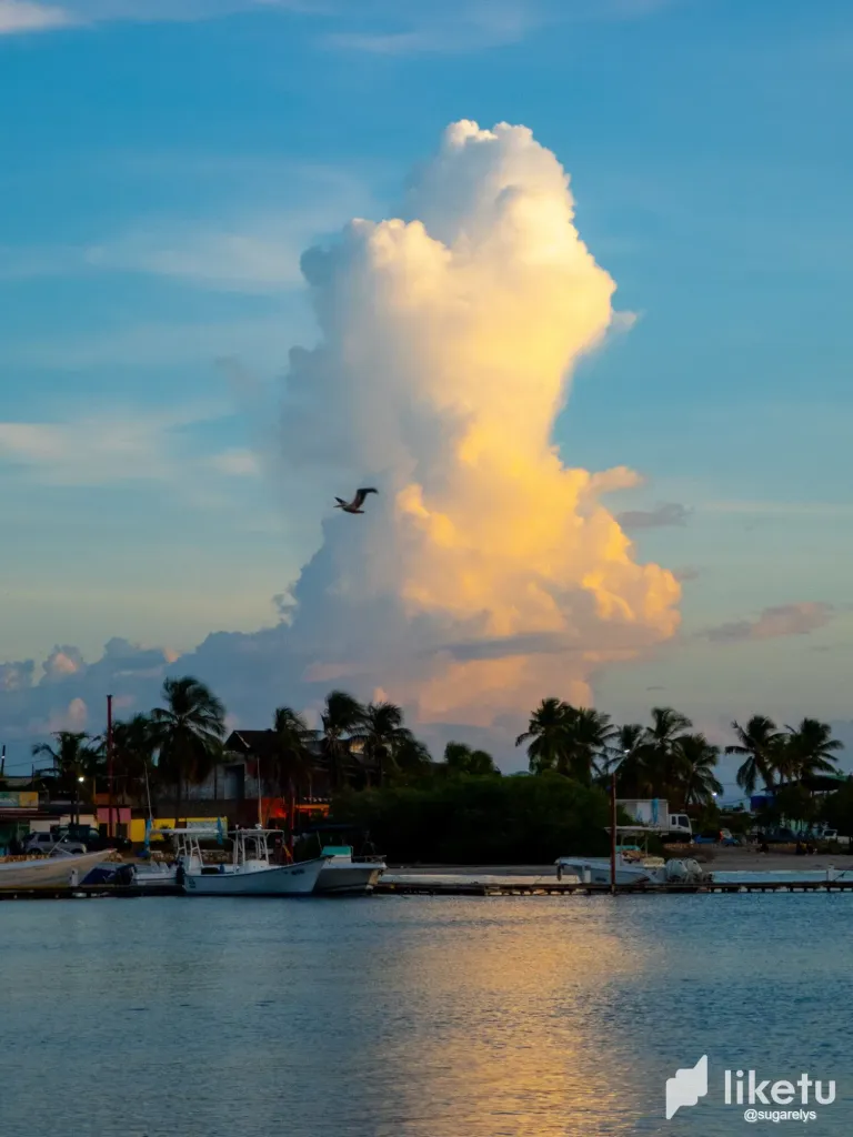 W1S0yl9HDBjf5qwO_paisaje_lindo-6.webp