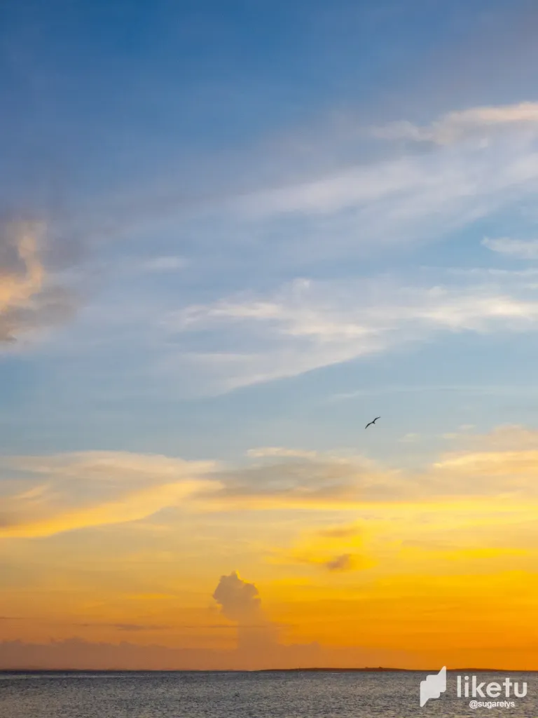 WaermlFjqxtKZDA4_paisaje_lindo-11.webp