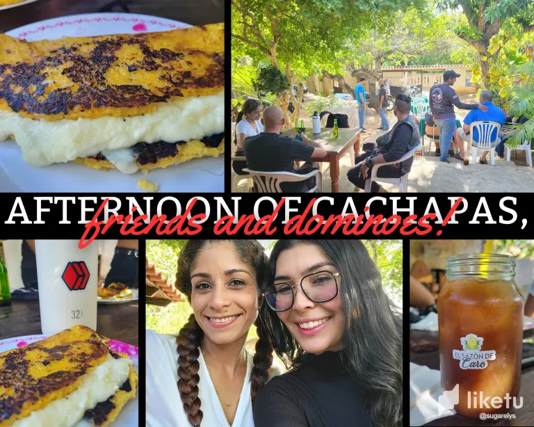 ZULnha2KiHxHl43k_collage_hive.webp