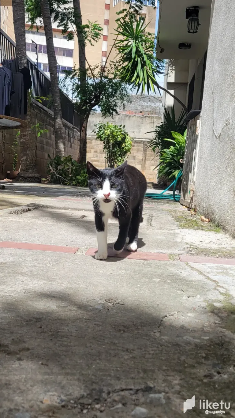 ceFTg81TVUrRr2zh_20250625_102835.webp