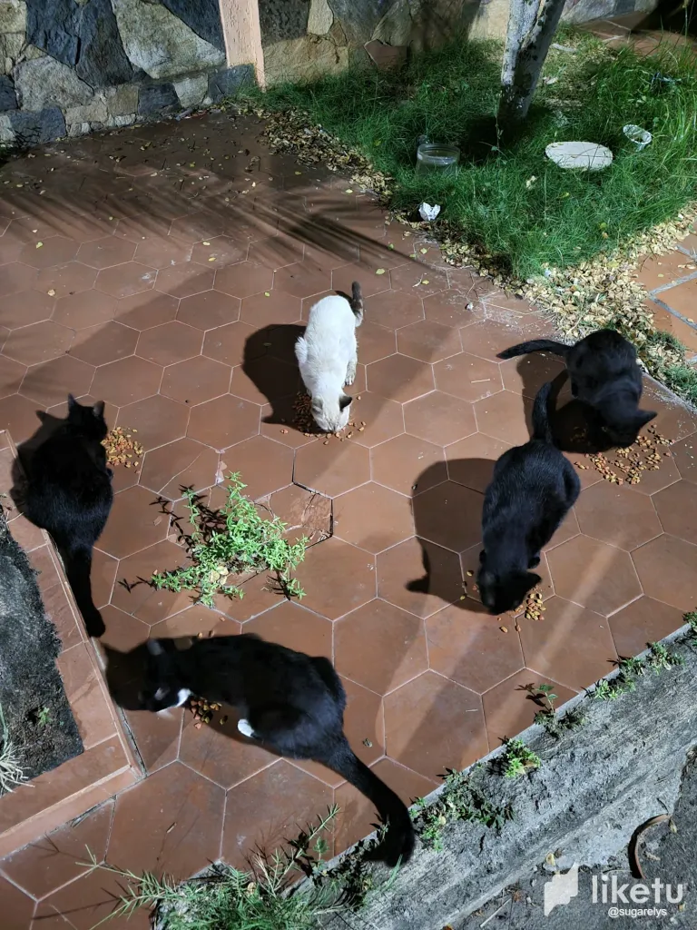 clpzr2w3r004tkasz4sddbw7y_20231128_212324.webp