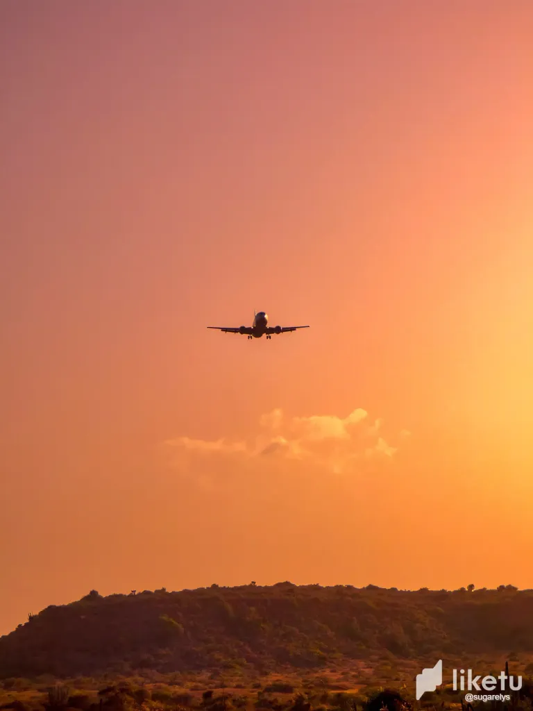 pogOtPYufmKZdBIF_avion-6.webp