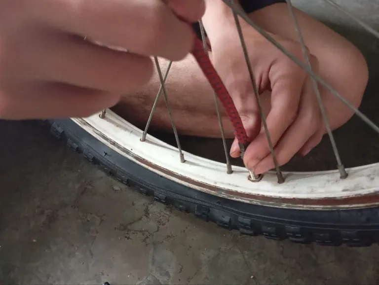 8SXZ9ob68bg3kAix_syusver3bici.webp