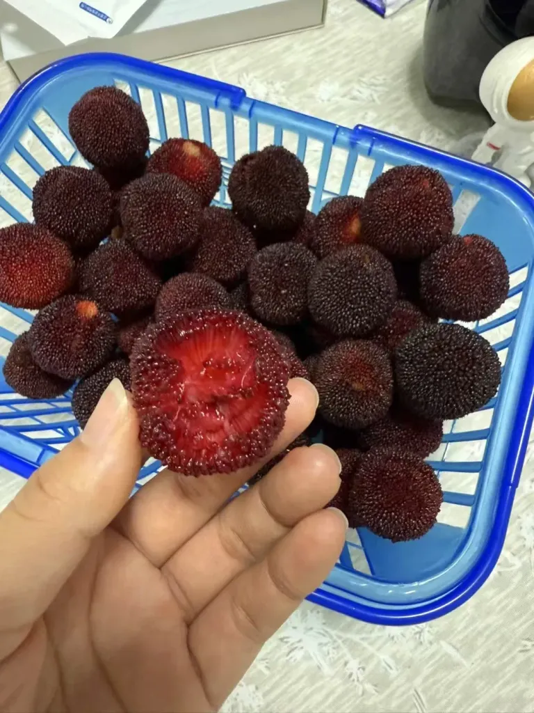 lRnLp69J52fdOHYG_1000085199.webp