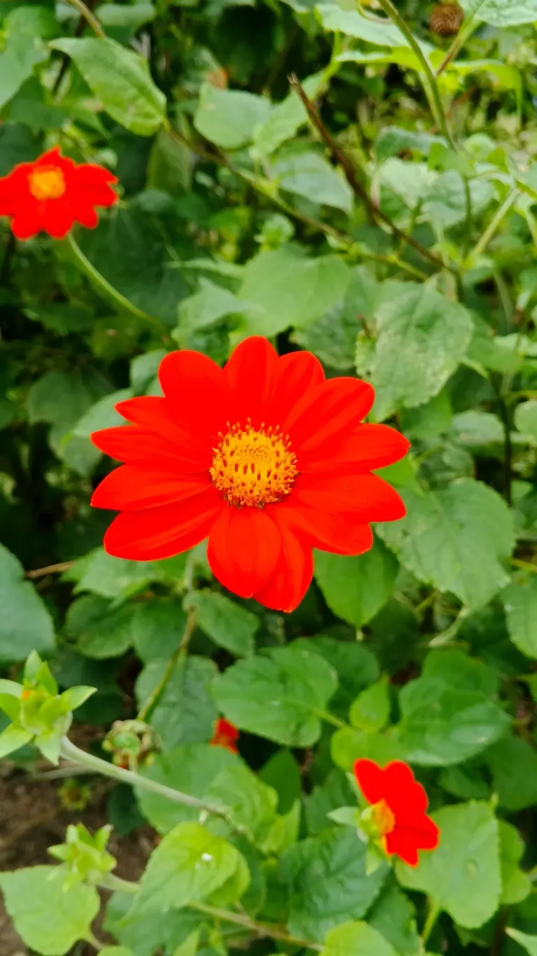 5zdSlouAbXdWQ72m_1000230704.webp