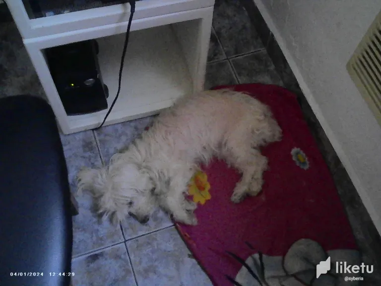 clr19xmo90082d2szdd6o5zxj_PICT0000.webp