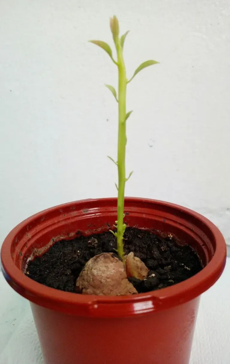 DxEu2HxTwzlZ4d9r_photo_3_2025-01-24_12-01-32.webp