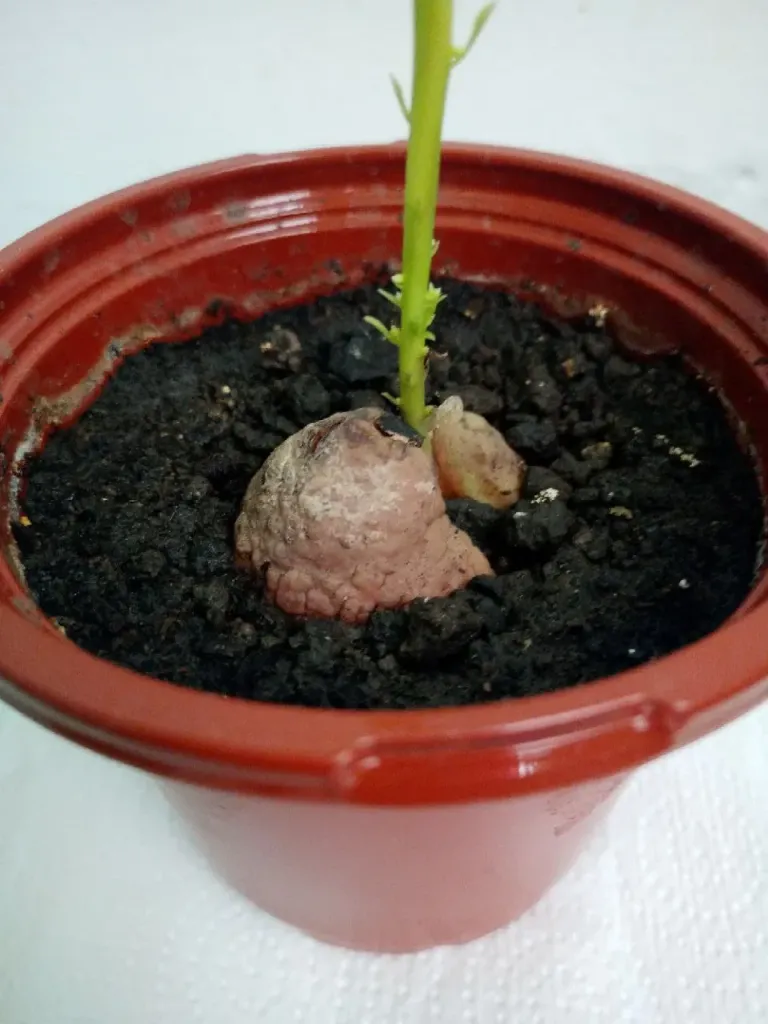 zhPxtYxSaZBjt7I7_photo_4_2025-01-24_12-01-32.webp
