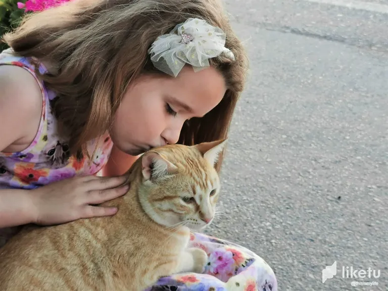 This cat imprinted on my daughter (and us!)