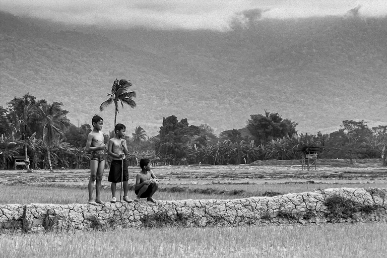 Kampung Boy black and white oil paint series .
