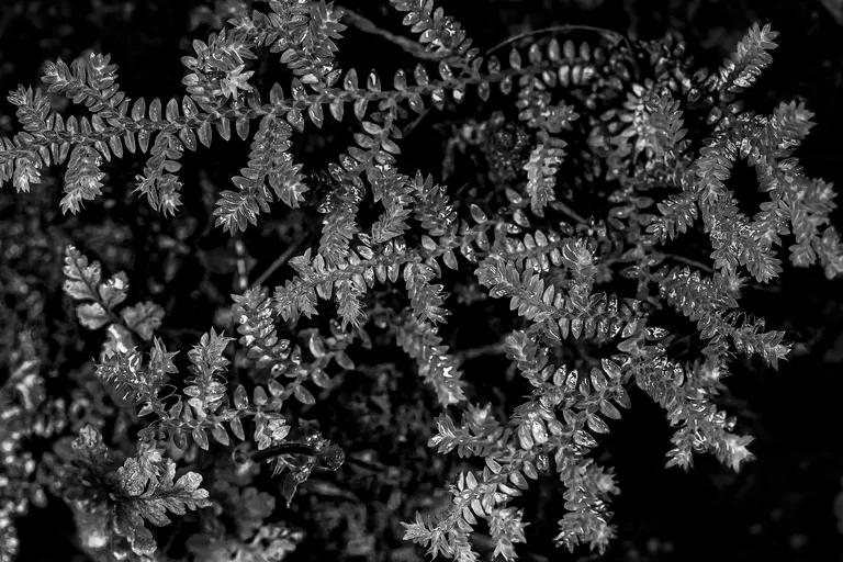 cld1vxh46007k59sz9o0j9fqn_DSC06007_copy1.webp