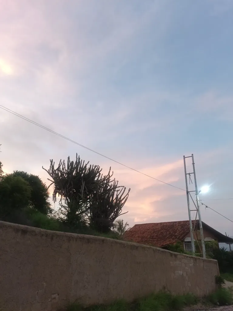PqTNIUy3LtTISV98_IMG_20250703_184734_1.webp