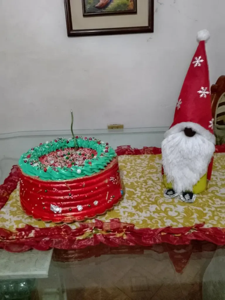 RGPjcKBJb6raqrsp_IMG_20241219_110642_947.webp
