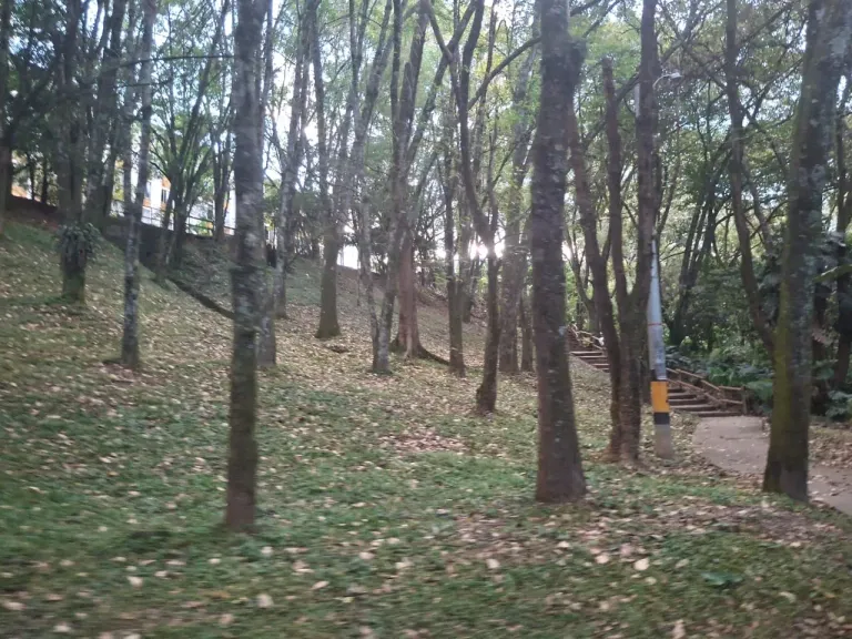 OqVL69ad47cnmOVS_1000068344.webp