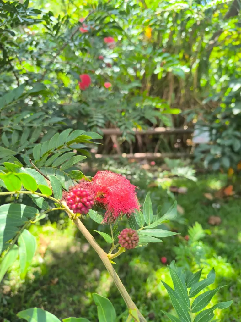 PSlSsTqTn0xbFZRH_1000065780.webp