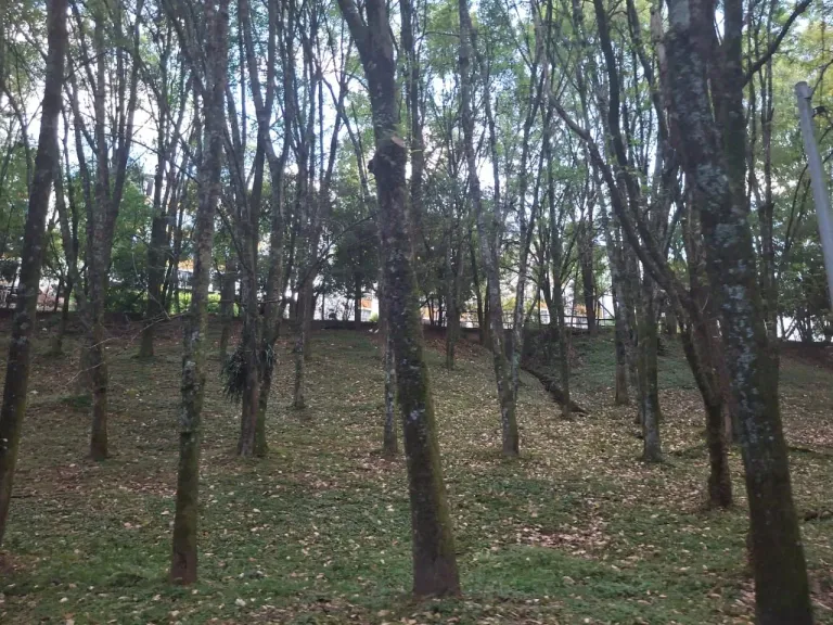 e05GbRUaqsj4PirS_1000068347.webp