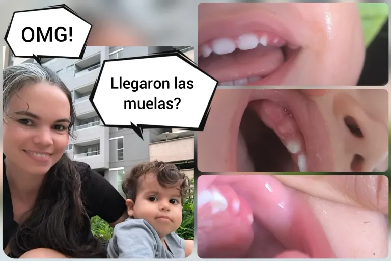 uhQSCQ10npcLNgP7_1000045188.webp