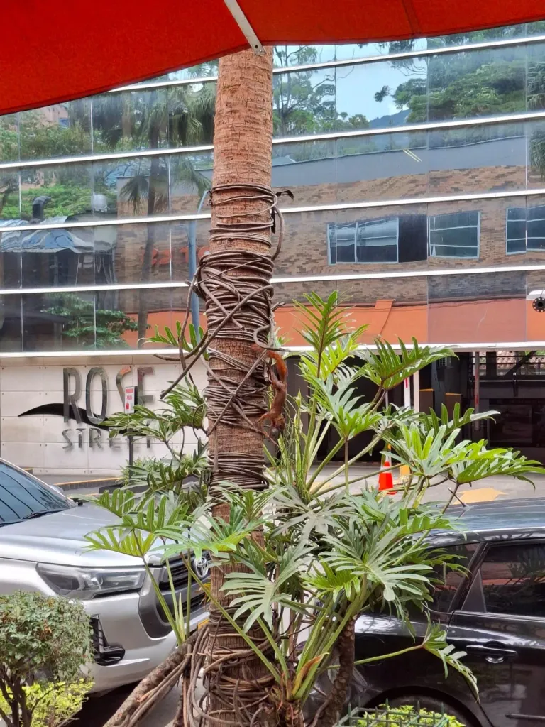 ztqvGPbj9mFp1K6Y_1000061818.webp