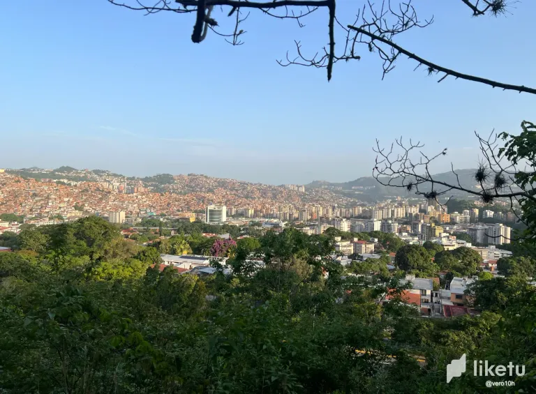 OrdiIOPuCavj9t7U_Captura_de_pantalla_2025-06-27_a_las_1.03.18a.m..webp