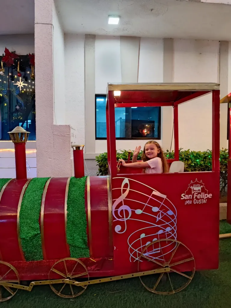 JhIysbLgDcMriOgH_IMG_20241207_182611.webp
