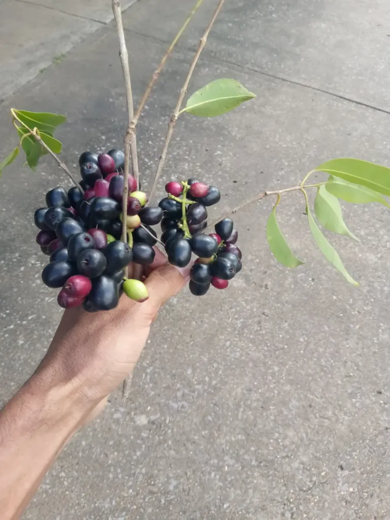 2qeU5uTdCPzOfbyE_IMG-20250822-WA0109.webp