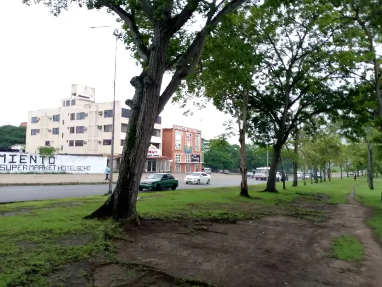 5b9gCqIqeAf5cs6U_IMG-20250615-WA0005.webp