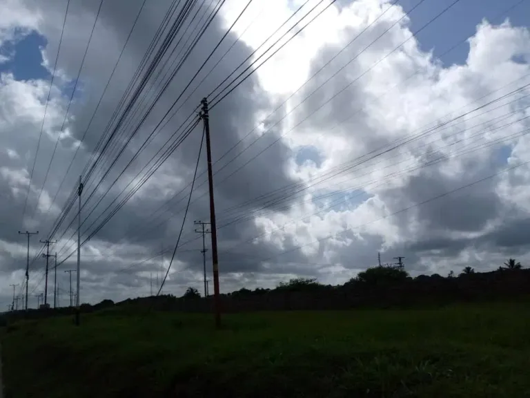 AX6p2QsFxnZ4ORjh_IMG-20250826-WA0066.webp