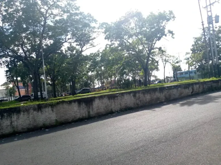 ap0Jynqyn7oltReF_IMG-20250802-WA0006.webp