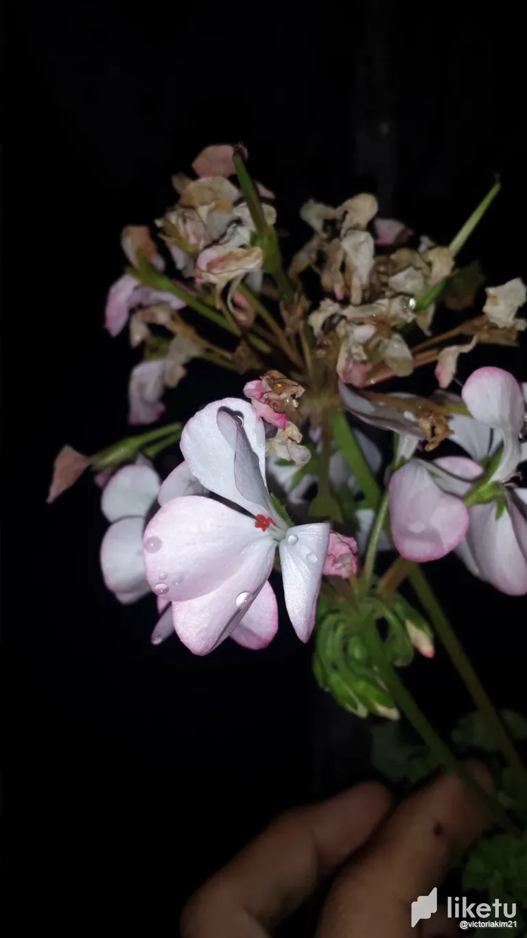 clcr12xjp007z7rsz6v1s1cl3_20230110_201731.webp