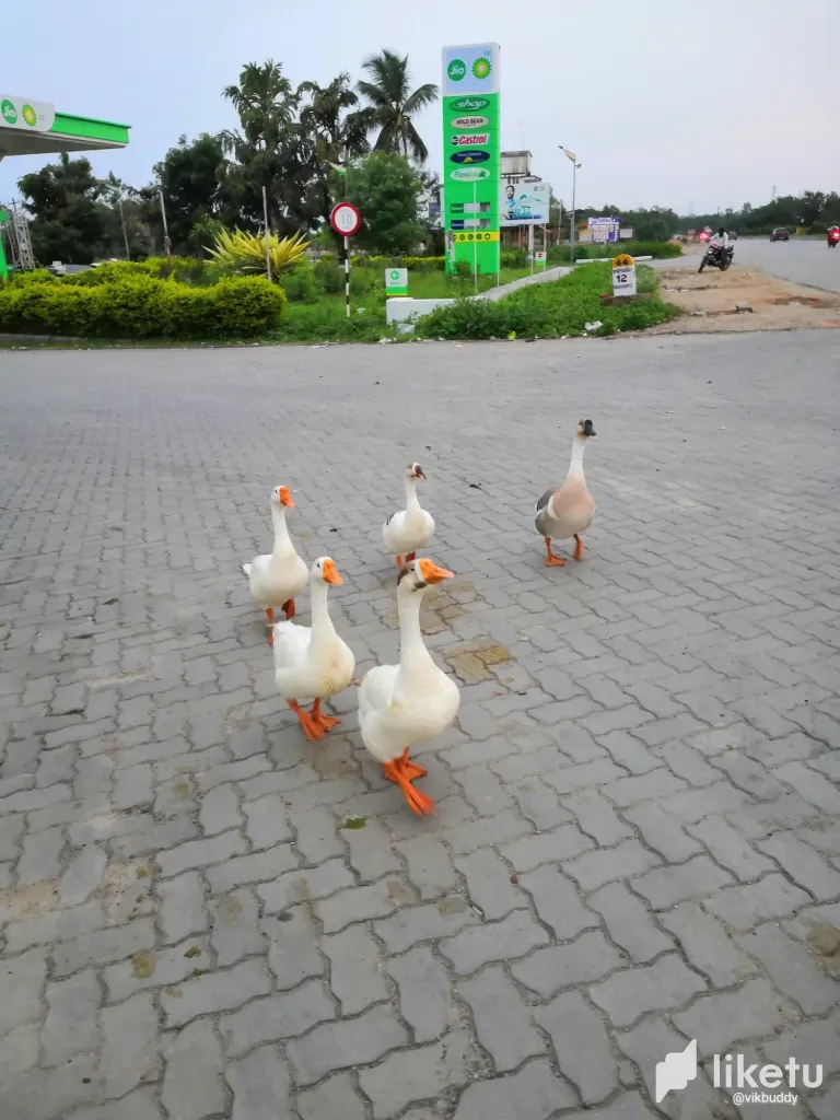 clmrccyx3034s6usz1lzfgn33_IMG_20230913_181756.webp