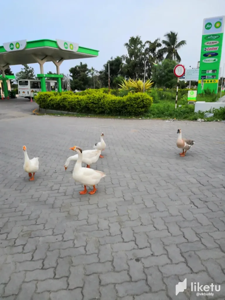 clmrcddrf035y3gsz9fd85b4r_IMG_20230913_181745.webp